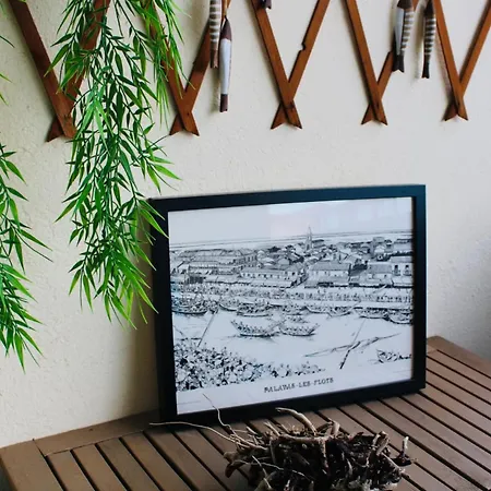 M T2 Climatisé à100m De La ,des Bateaux ,des Commerces, Terrasse Ensoleillée * Palavas-les-Flots