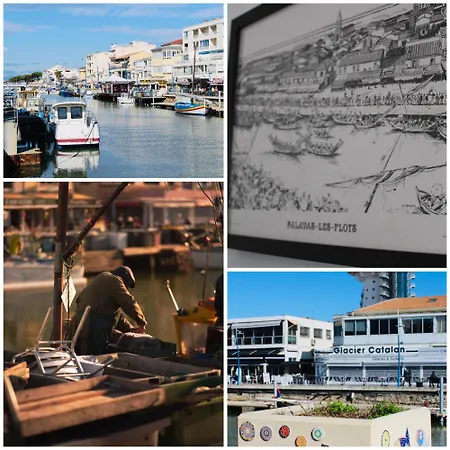 M T2 Climatise A100m De La ,des Bateaux ,des Commerces, Terrasse Ensoleillee Apartment Palavas-les-Flots